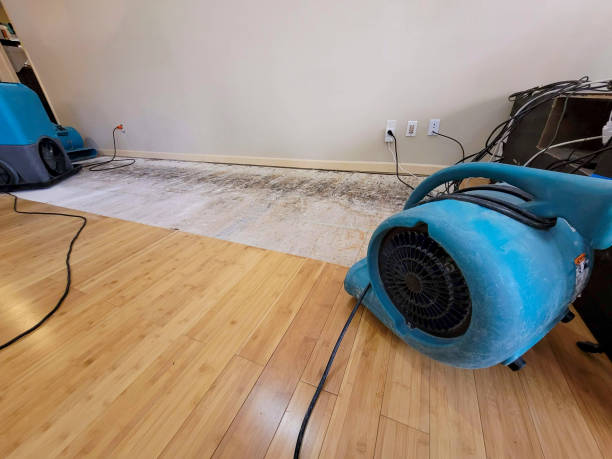 Professional Flood Damage Cleanup technician working in Bogue Chitto, MS